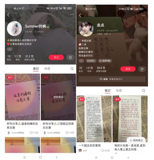 图片[3]_AI批量制造小红书爆款笔记+小红书无货源，玩法一条龙实操，小白也能轻松日入500+【揭秘】_乐帮资源库