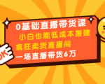 0基础直播带货课：小白也能低成本搭建疯狂卖货直播间：1场直播带货6万_乐帮资源库
