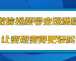 微信视频号变现项目，0粉丝冷启动项目和十三种变现方式_乐帮资源库