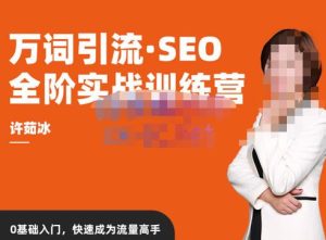 许茹冰·万词引流-SEO全阶实战训练营，0基础入门，快速成为流量高手_乐帮资源库