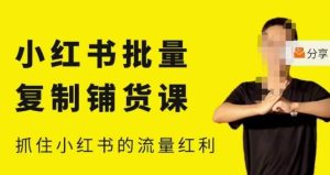 张宾·小红书批量复制铺货课，小红书0-1快速起号变现玩法，抓住小红书的流量红利（更新2023年3月）_乐帮资源库