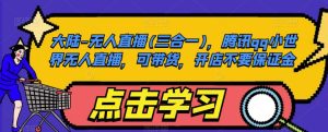 大陆-无人直播(三合一)，腾讯qq小世界无人直播，可带货，开店不要保证金_乐帮资源库