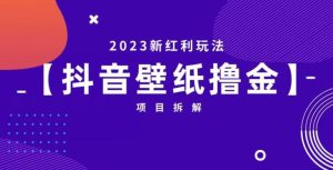 抖音壁纸小程序创作者撸金项目，2023新红利玩法【项目拆解】_乐帮资源库