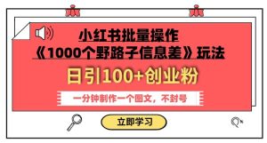 小红书批量操作《1000个野路子信息差》玩法，一分钟制作一个图文，不封号，日引100+创业粉_乐帮资源库