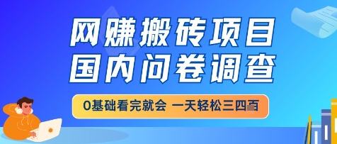 网创搬砖项目，国内问卷调查，小白轻松上手，一天三四张的也不难，干就完了【揭秘】_乐帮资源库