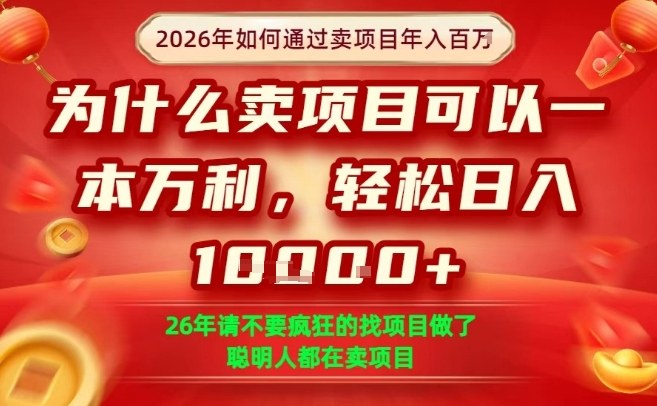 一单净利润1K+，26年想年入100个W，死磕卖项目就够了【揭秘】_乐帮资源库