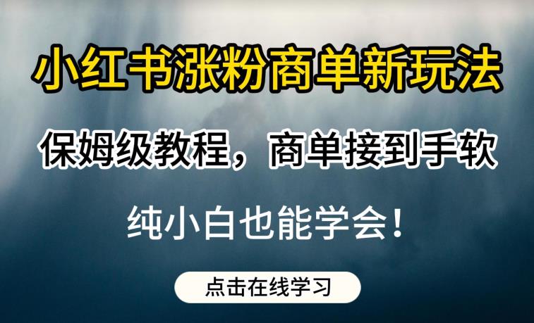小红书涨粉商单新玩法，教程，商单接到手软，纯小白也能学会_乐帮资源库