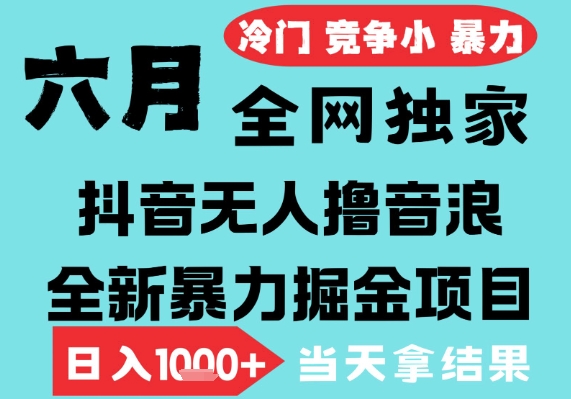 2025年6月高爆抖音无人直播最新撸音浪掘金项目，无脑日入1k+，低门槛小白可做，可矩阵放大_乐帮资源库