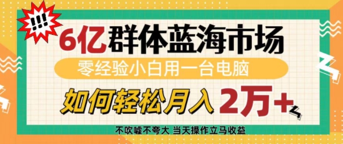 6亿群体蓝海市场，零经验小白用一台电脑，如何轻松月入过w_乐帮资源库