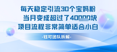 每天稳定引流30个人 当月变成超过了4个W项目流程非常简单适合小白_乐帮资源库